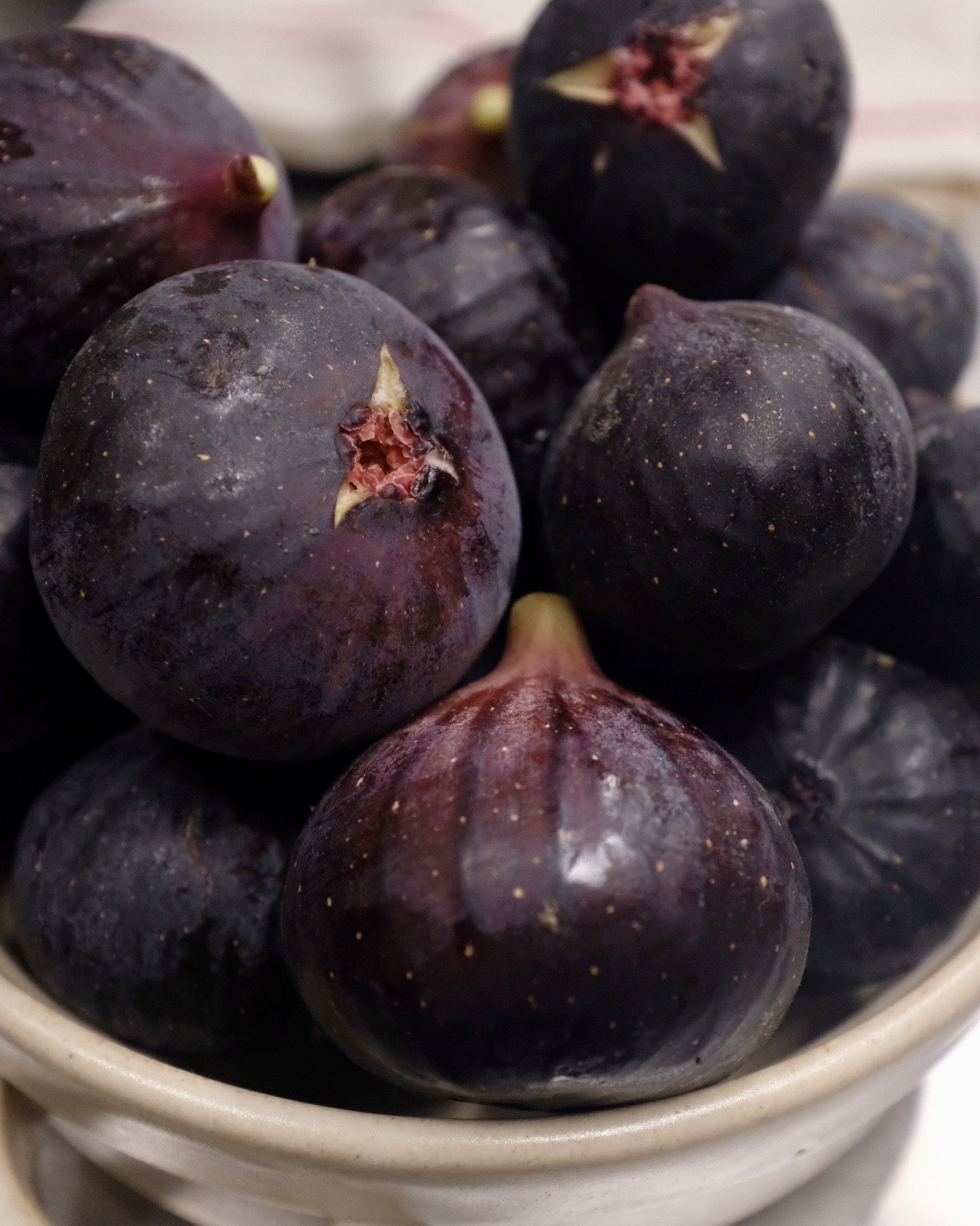 尾道産 黒いちじく