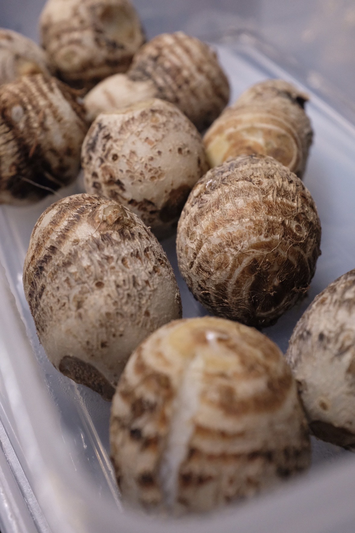 里芋のポタージュ ゆずの香り