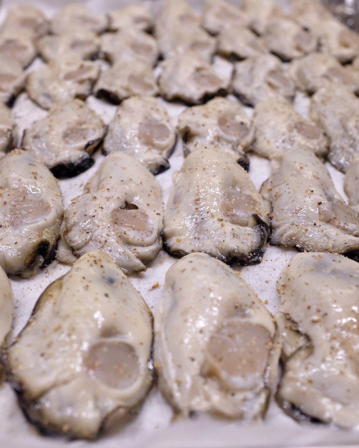 広島県産安芸郡産カキフライと黒毛和牛と瀬戸もち豚のハンバーグ